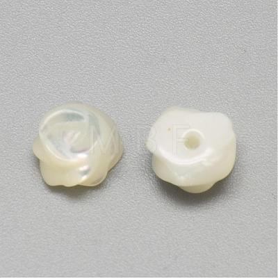 Natural White Shell Mother of Pearl Shell Cabochons SSHEL-R042-10-1