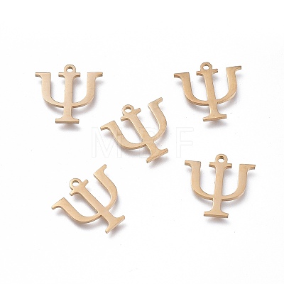 304 Stainless Steel Charms LS-STAS-K215-11G-1