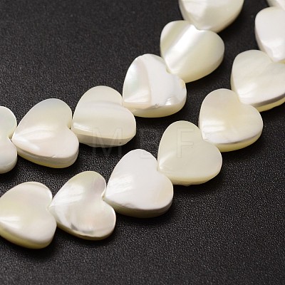 Natural Trochid Shell/Trochus Shell Beads Strands SSHEL-K012-04A-1