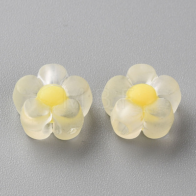 Transparent Acrylic Beads TACR-S152-06C-SS2105-1