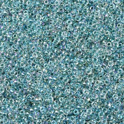 MIYUKI Round Rocailles Beads X-SEED-G007-RR0263-1
