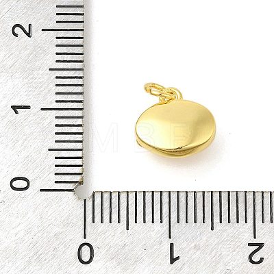 Oval Rack Plating Brass Pendants Charms KK-S396-72G-1