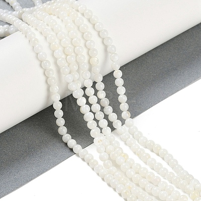 Natural Freshwater Shell Beads Strands BSHE-H109-03B-1