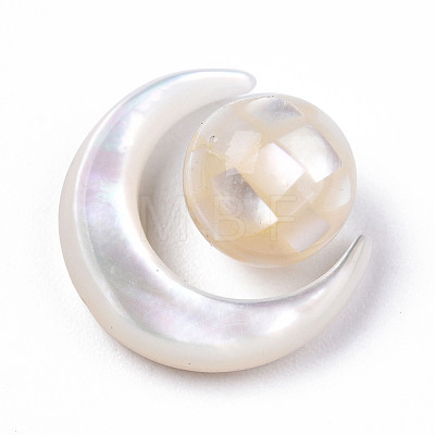 Natural White Shell Beads Set SSHEL-N032-51-B01-1