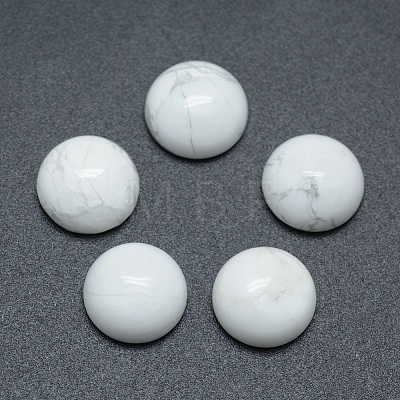 Natural Howlite Cabochons X-G-P393-R32-10mm-1