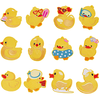 12Pcs Computerized Embroidery Polyester Iron on/Sew on Patches PATC-WH0003-60B-1