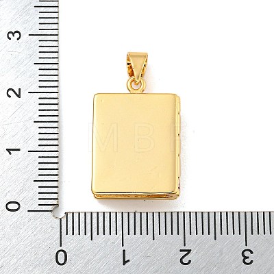 Rack Plating Brass Micro Pave Cubic Zirconia Locket Pendants KK-Z048-04G-1