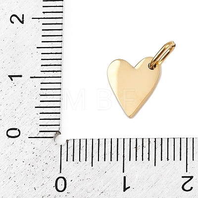 304 Stainless Steel Charms STAS-L291-01G-O-1