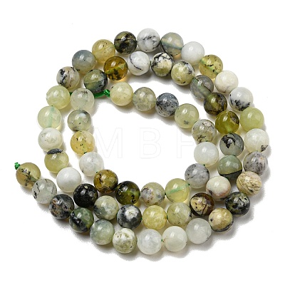Natural Green Opal Beads Strands G-R494-A11-02-1