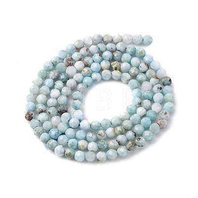 Natural Larimar Beads Strands G-F785-B01-01-1