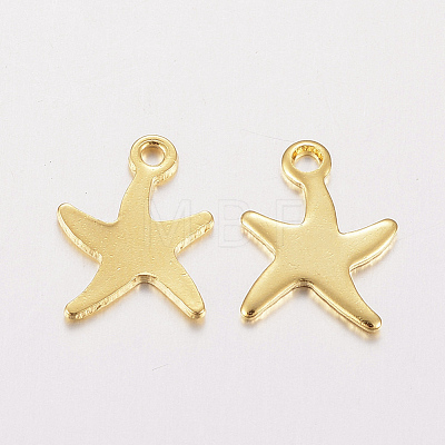 304 Stainless Steel Charms X-STAS-F162-40G-1