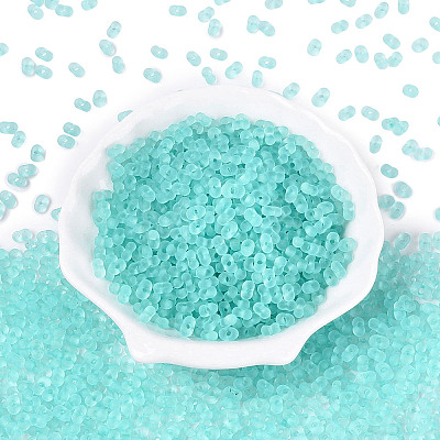 FGB Frosted Transparent Glass Seed Beads SEED-N013-06A-10-1