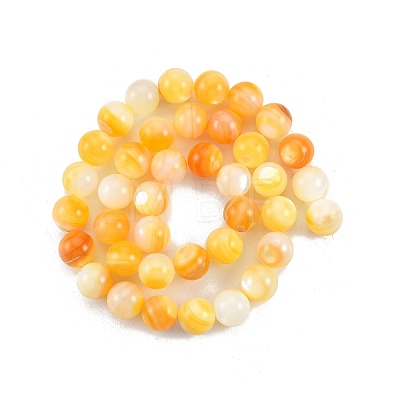 Natural Golden Yellow Shell Beads Strands SSHEL-G024-01E-1