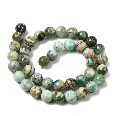 Natural Green Line Jasper  Beads Strands X-G-L639-A01-8mm-1