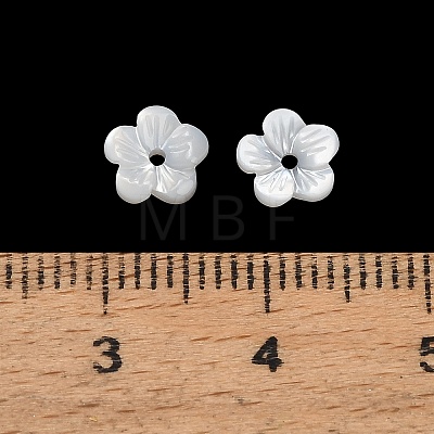 Natural White Shell Beads SH-CBA93AD-07A-1