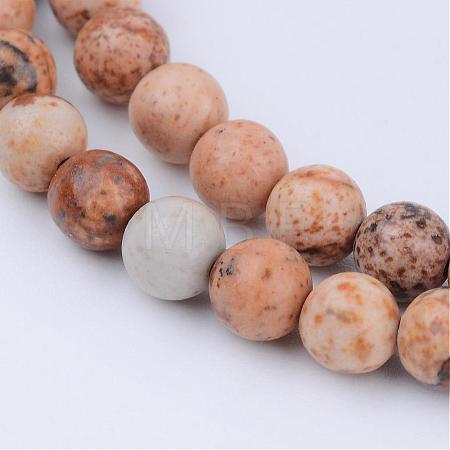 Natural Picture Jasper Beads Strands G-Q462-8mm-35-1