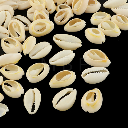 Natural Mixed Cowrie Shell Beads BSHE-S051-01-1
