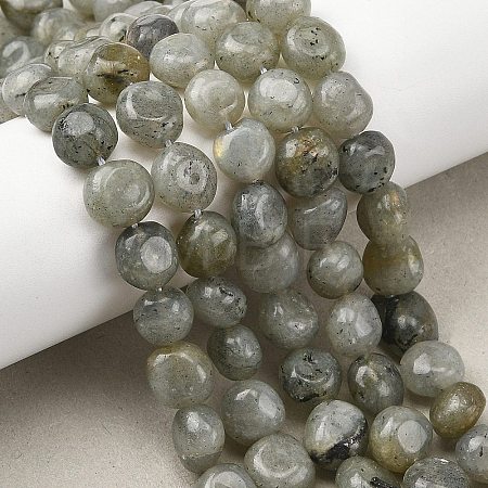 Natural Labradorite Beads Strands G-P623-A03-02-1