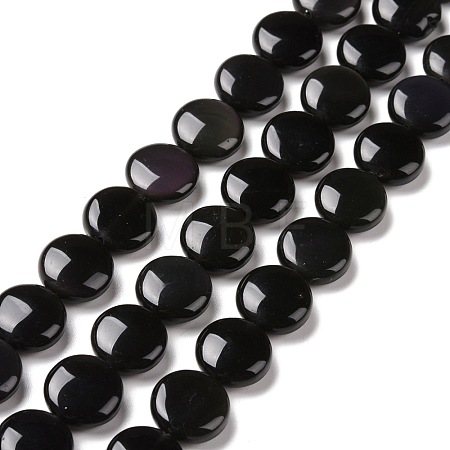 Natural Obsidian Beads Strands G-C238-21B-1