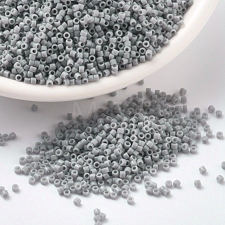 MIYUKI Delica Beads X-SEED-J020-DB1139-1