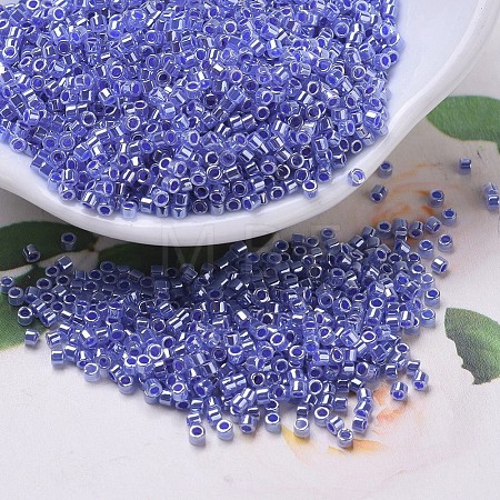MIYUKI Delica Beads SEED-J020-DB0243-1