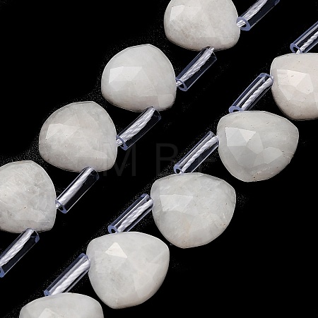 Natural Rainbow Moonstone Beads Strands G-C292-A01-01-1