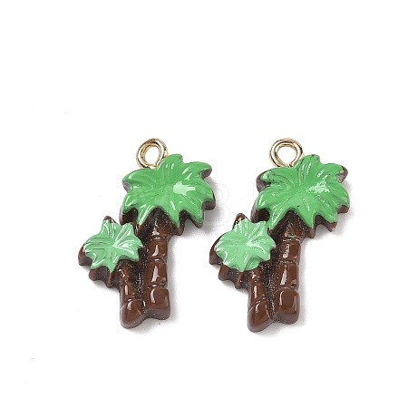Opaque Resin Pendants RESI-G120-01E-1