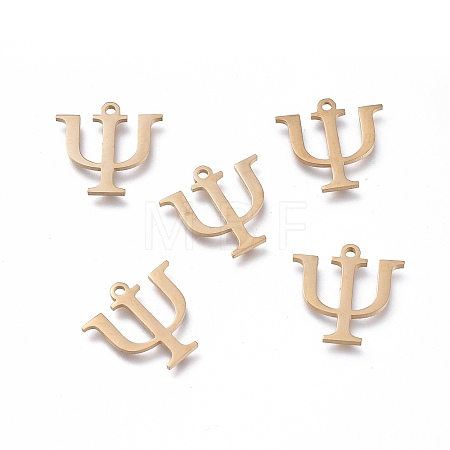 304 Stainless Steel Charms LS-STAS-K215-11G-1
