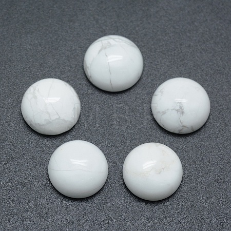 Natural Howlite Cabochons X-G-P393-R32-10mm-1