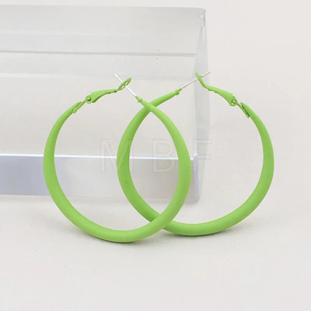 Spray Painted Alloy Hoop Earrings FS-WG43B6B-06-1