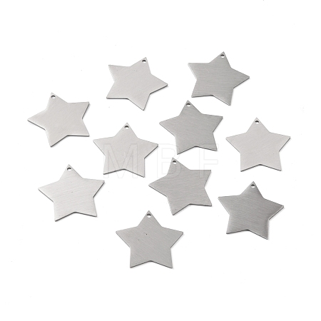 Tarnish Resistant 304 Stainless Steel Pendants STAS-F271-04E-P-1