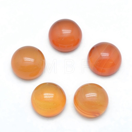 Natural Carnelian Cabochons X-G-P393-R41-10mm-1