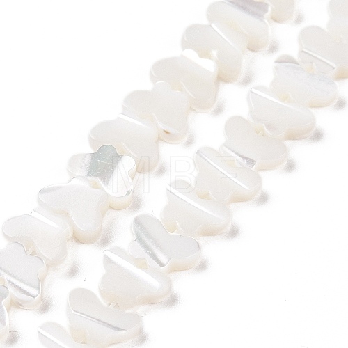 Natural Trochus Shell Beads Strands SSHEL-H070-05-1