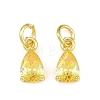 Brass Pave Cubic Zirconia Charms KK-K340-51G-05-1