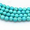 Natural Magnesite Beads Strands TURQ-P027-69-4mm-1