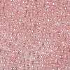 TOHO 8/0 Round Beads SEED-TR08-0289-2