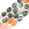 Natural Green Spot Jasper & Rose Quartz & Moss Agate & Red Aventurine Beads Strands G-Z135-A07-2