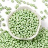 Baking Paint Glass Seed Beads SEED-C003-02D-2