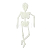 Luminous Plastic Skeleton Model LUMI-PW0006-47A-2