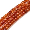 Natural Red Agate Beads Strands G-F797-A18-01-2
