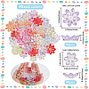 80Pcs 2 Styles Transparent Acrylic Bead Caps TACR-SP0001-28-2