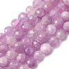 Natural Kunzite Beads Strands G-P587-B01-02-2