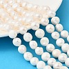 Natural Cultured Freshwater Pearl Beads Strands PEAR-P064-19I-05E-1