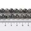Natural Labradorite Beads Strands G-S333-8mm-035-4