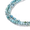 Natural Blue Opal Beads Strands G-K315-B05-A-3