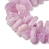 Natural Kunzite Beads Strands G-L649-C04-01-4