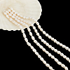 2 Strands Natural Cultured Freshwater Pearl Beads Strands PEAR-NB0002-56-7
