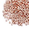 Electroplate Cylinder Seed Beads SEED-Q036-02A-B05-3