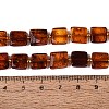 Natural Bloody Amber Beads Strands G-N371-15A-01-5