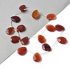 Natural Red Agate(Dyed & Heated) Beads Strands G-A259-A01-01-2